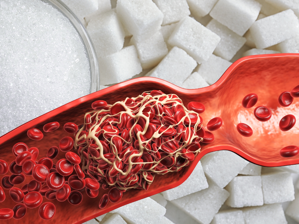 Sugar is the primary source of energy. - Photo Gallery