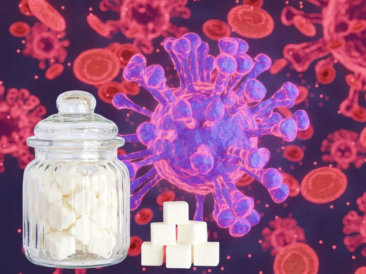 Sugar does not cause cancer. - Photo Gallery