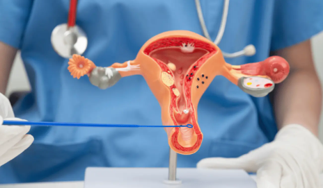 Will be part of the national vaccination program - Photo Gallery