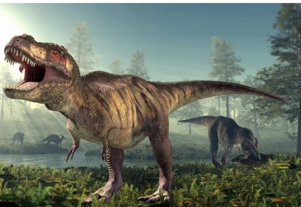 Relation to the modern era - Photo Gallery