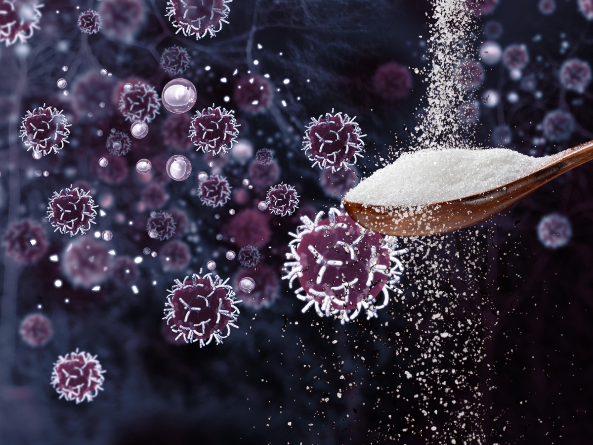 Too much sugar is harmful for everyone. - Photo Gallery