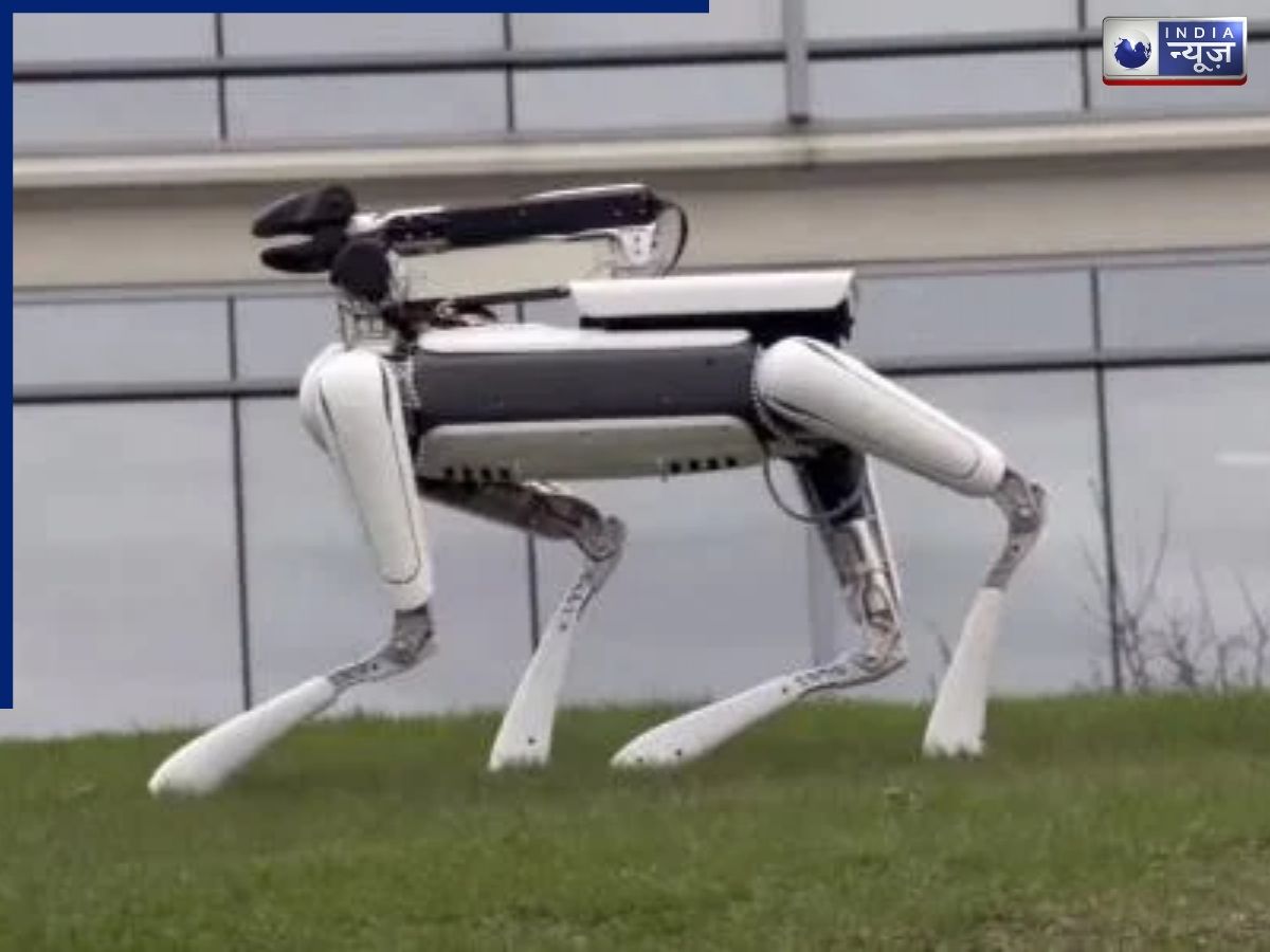 India AI Impact Summit 2026: भारत ने बनाया स्वदेशी Robot Dog, बेंगलुरु के स्टार्टअप ने पेश किया रोबोट डॉग PARAM, जानें खासियत