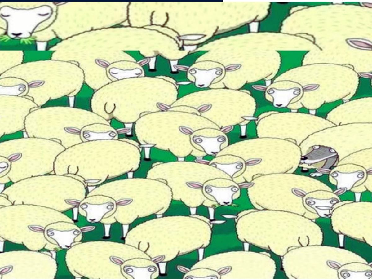 Amitabh Bachchan on Aishwarya Rai 2