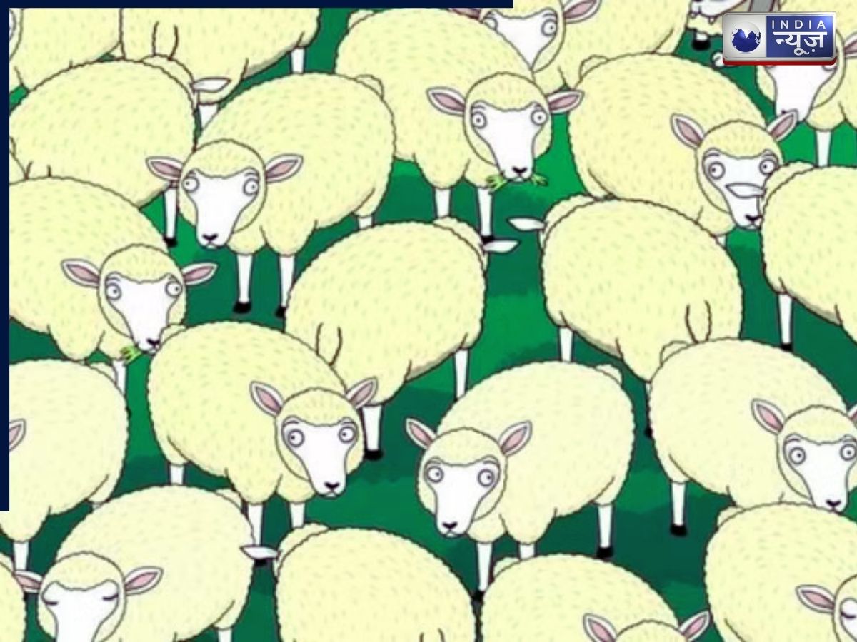 अगर खुद को मानते हो Optical Illusion का धुरंधर तो भेड़ की भीड़ में खोजकर दिखाएं भेड़िया