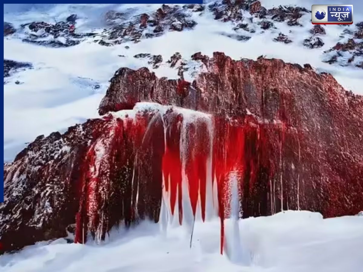 Antarctica Blood Falls Viral Video: 1911 से बना था पहेली, अब मिला जवाब; आखिरकार अंटार्कटिका के ब्लड फॉल्स के रहस्य से उठा पर्दा