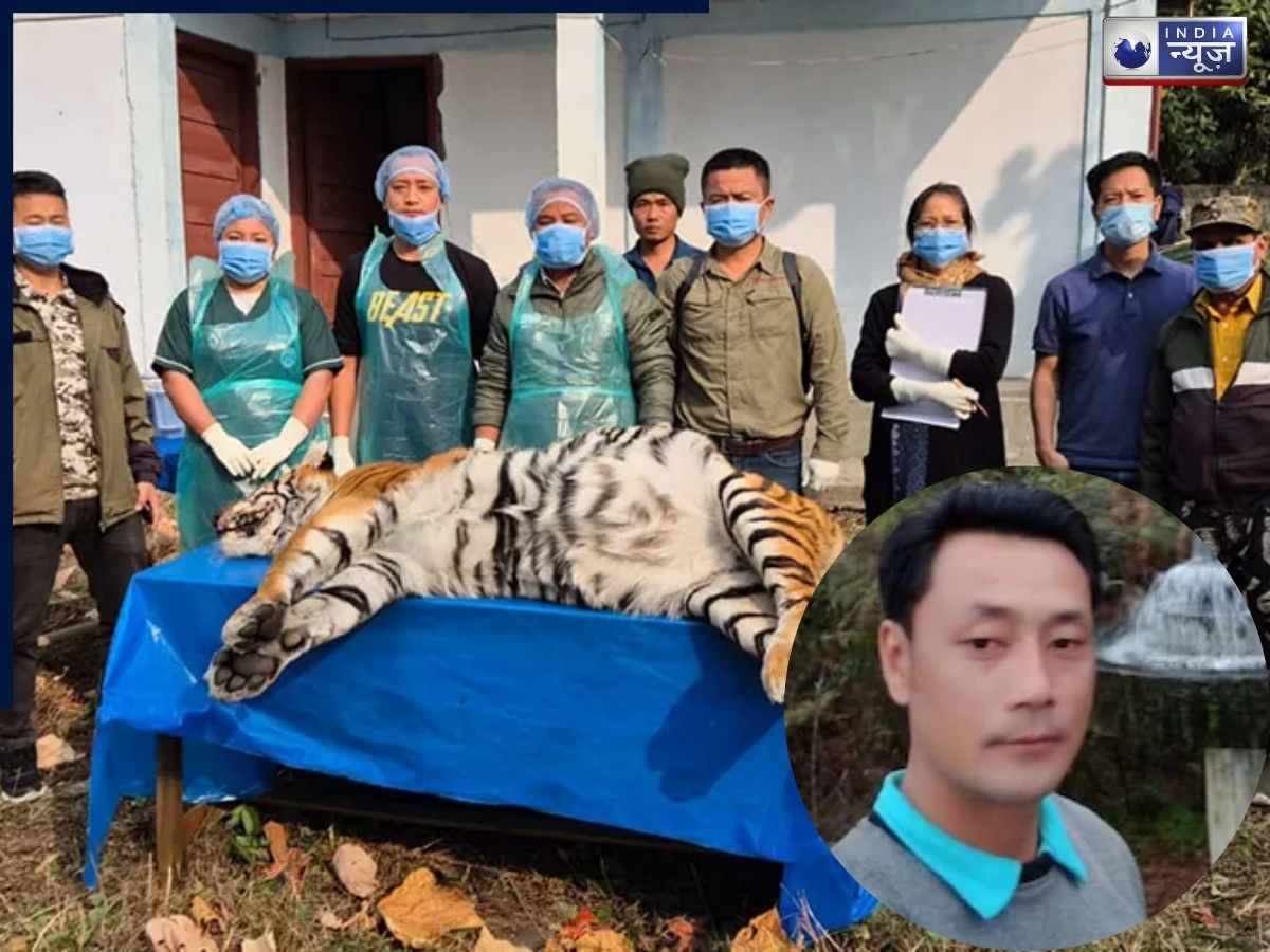 पहले पुलिसकर्मी की मौत, अब बाघिन के शव से मचा हड़कंप, अरुणाचल में प्रकृति प्रेमियों ने खड़े किए अहम सवाल