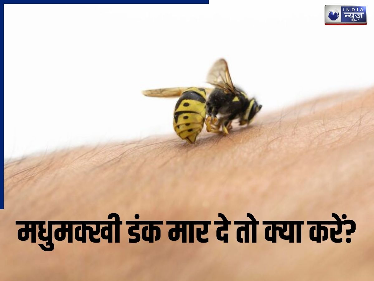 मधुमक्खी ने काट लिया? घबराएं नहीं, डंक लगते ही करें ये काम, नहीं बढ़ेगी सूजन और दर्द