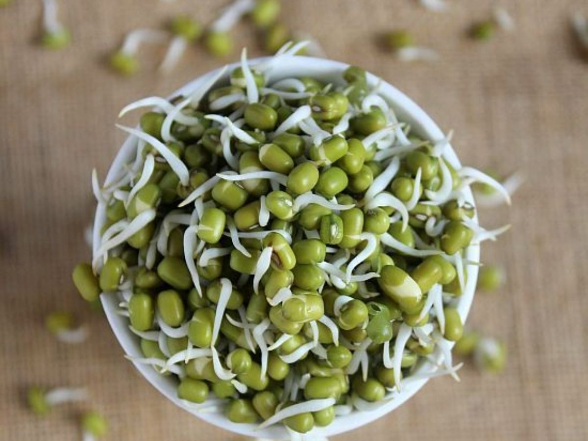 Best Ways to Eat Moong - Photo Gallery