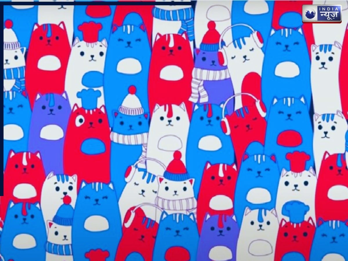 Optical Illusion Challenge: बिल्लियों के झुंड में छुपा है खरगोश, 5 सेकंड में खोजकर दिखाओ अपना टेलेंट