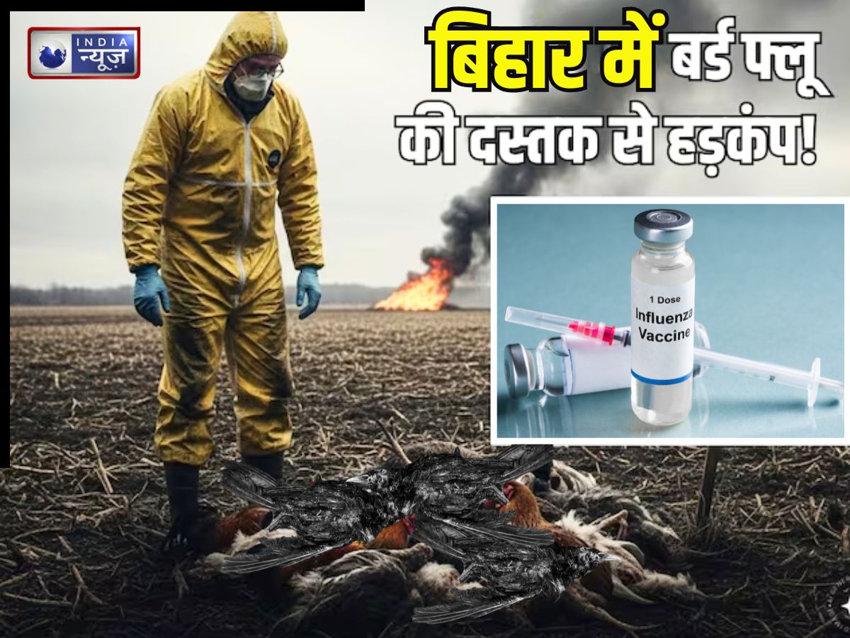 Bird Flu in Bihar: बिहार में बर्ड फ्लू की दस्तक से पटना में अलर्ट, चिकन खाने वाले रहें सावधान, जानिए बीमारी और लक्षण