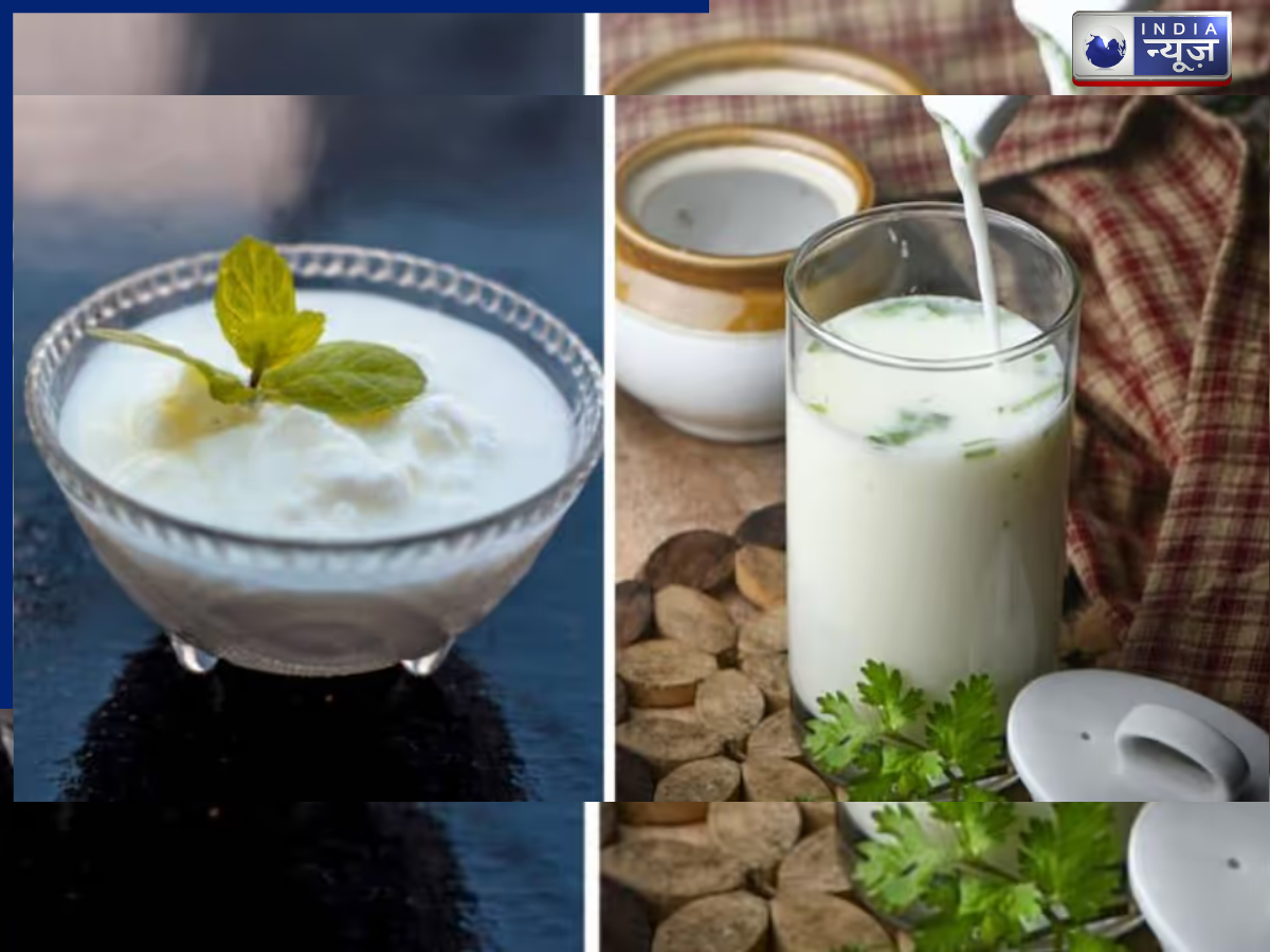 Buttermilk or curd, which is more beneficial? - Photo Gallery