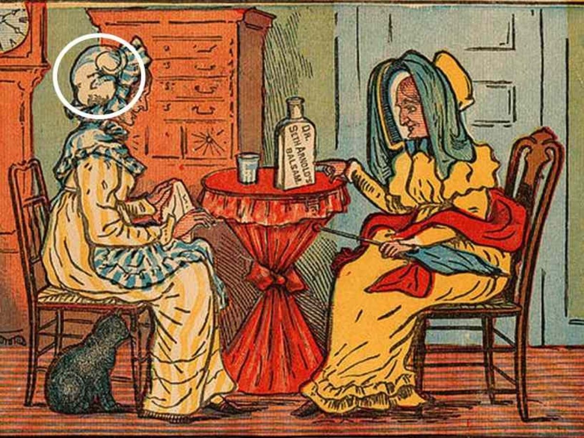 Cat Optical Illusion