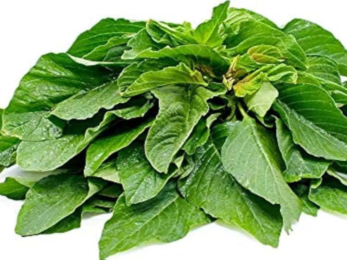 Greens Health Benefits - Photo Gallery