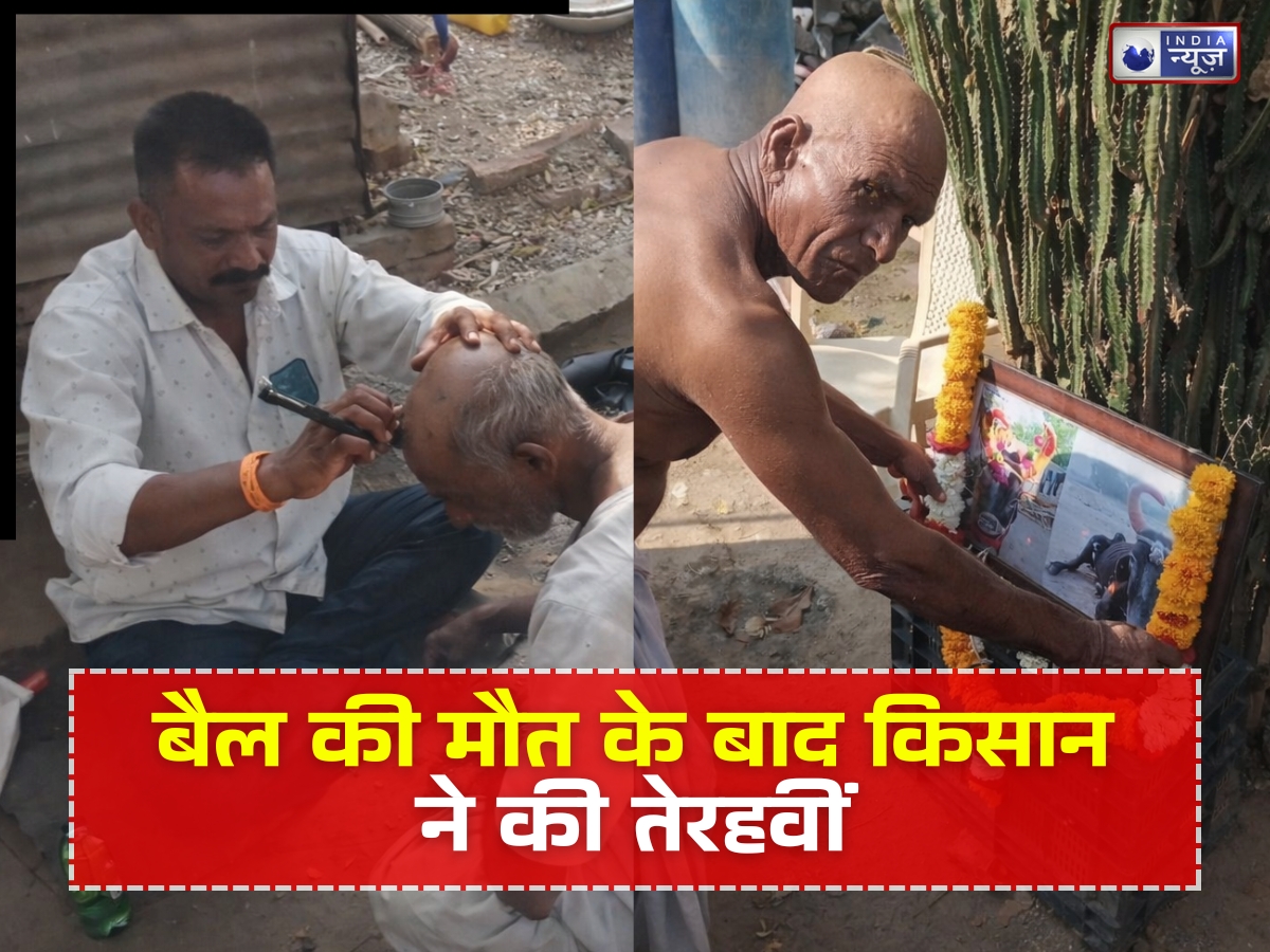 बैल नहीं, बेटा था ‘खांड्या’, किसान ने मुंडन और तेरहवीं कर निभाई हर अंतिम रस्म; दी इंसानों जैसी विदाई