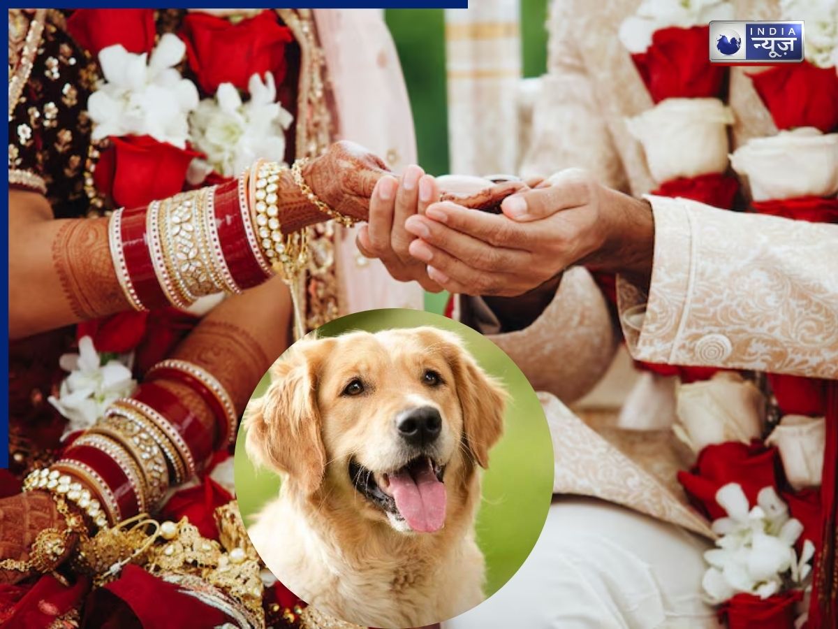 अब उसी के साथ… कुत्ते की पिटाई से टूटी थी शादी, फिर चार दिन बाद कैसे जुड़ी? फतेहपुर में एक विवाह ऐसा भी