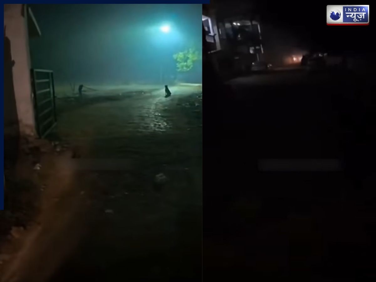 ‘मैडम, अंदर बहुत…’, जब कब्रिस्तान में फूड डिलीवरी करने से डरा एजेंट! वीडियो देख आपके भी खड़े हो जाएंगे रोंगटे