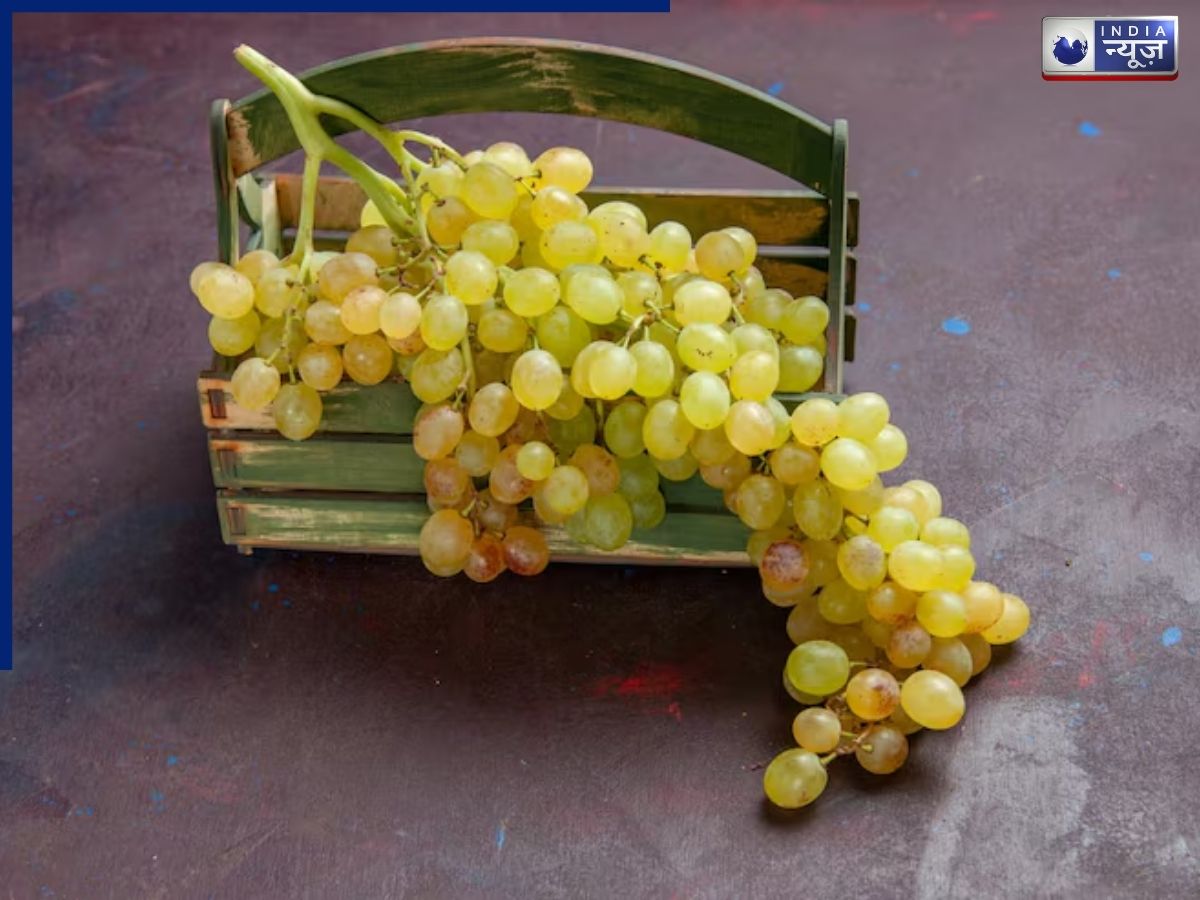 Do not eat grapes on an empty stomach - Photo Gallery