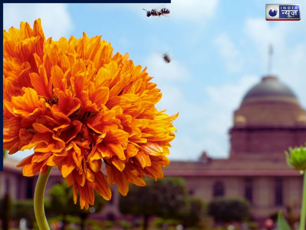 What special here - Photo Gallery