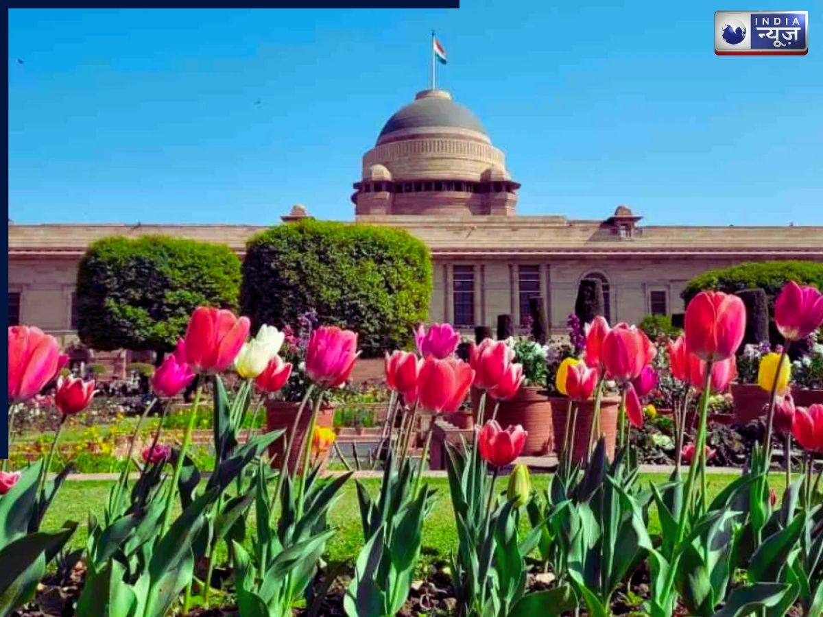 There are gardens at the Presidential Palace - Photo Gallery