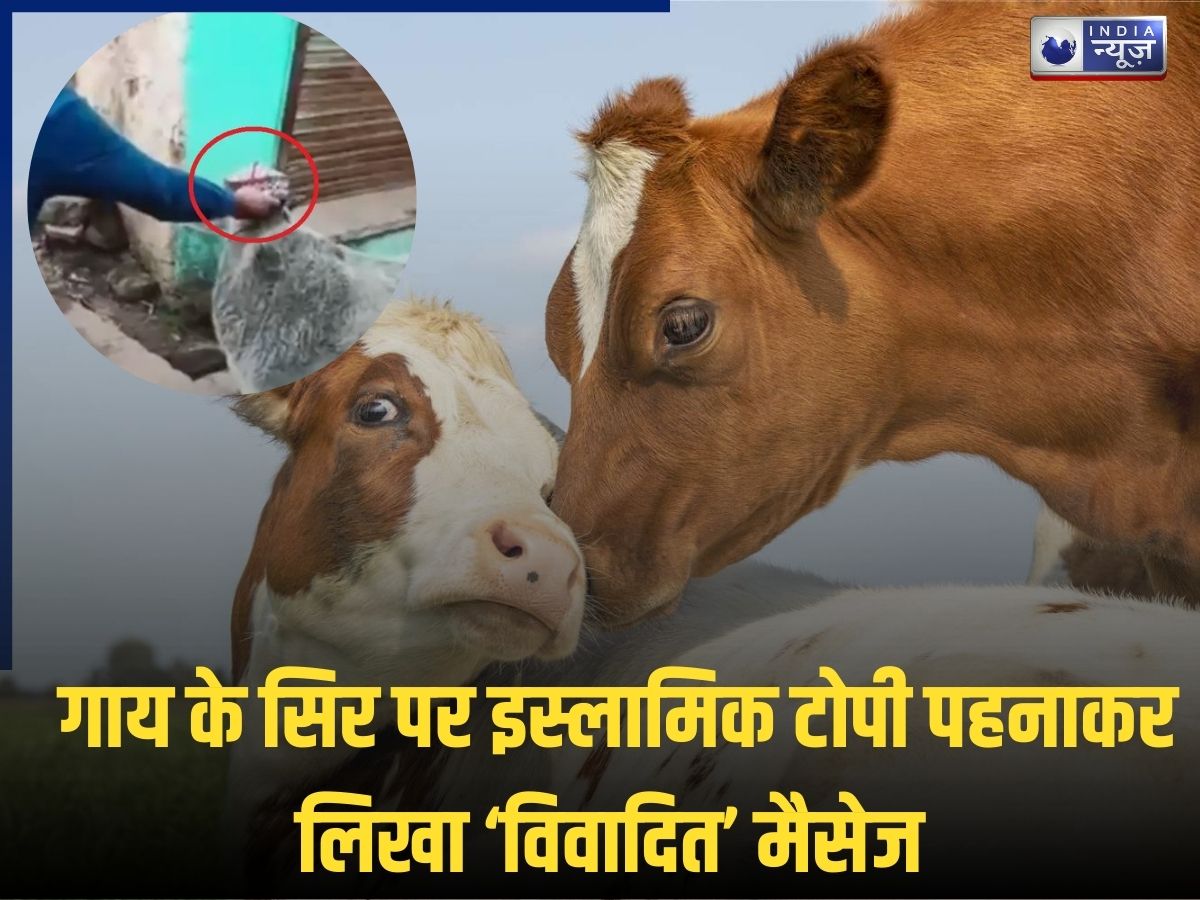 Guna Cow Viral Video: गाय को पहनाई इस्लामिक टोपी, वीडियो डालकर लिखा ‘विवादित मैसेज’, फिर जो हुआ…