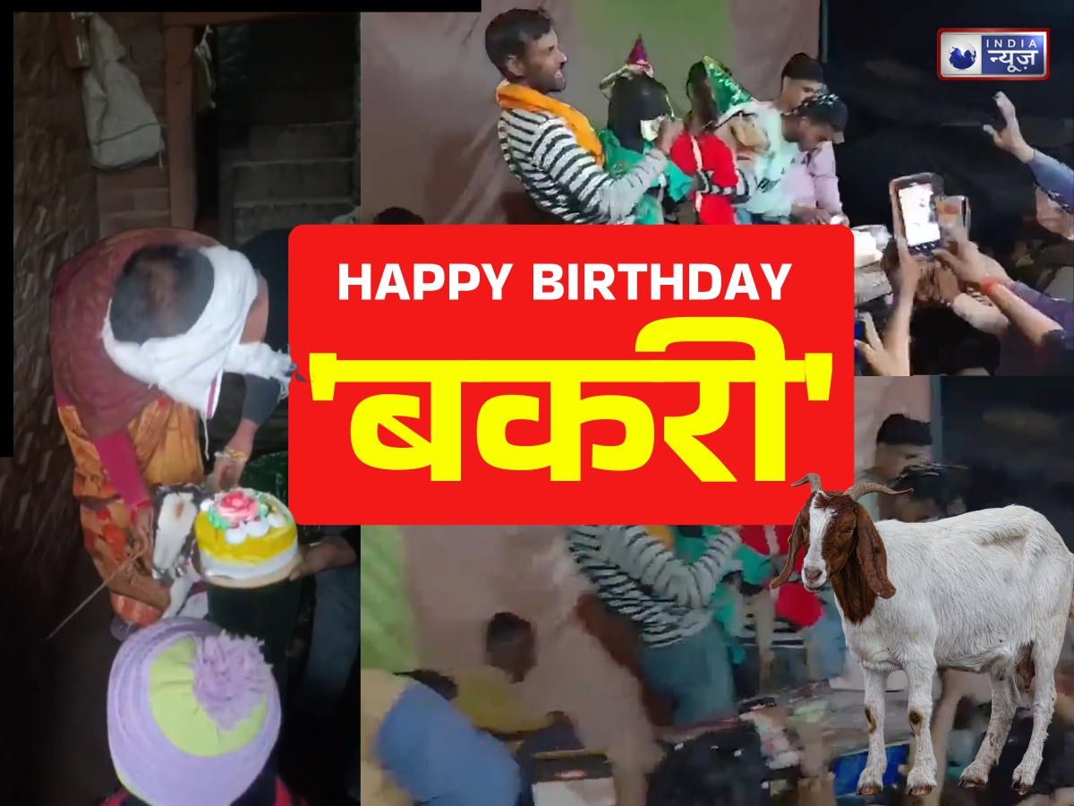 क्या ऐसा VIP जश्न देखा है? बकरियों के जन्मदिन पर गांव में गूंजा डीजे, वैलेंटाइन डे पर शाही अंदाज में हुई पार्टी