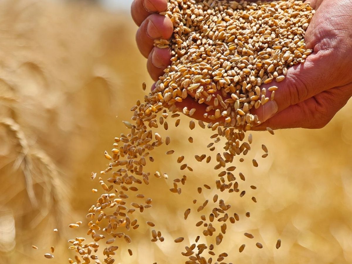 Why Whole Grains Matter in Breakfast - Photo Gallery