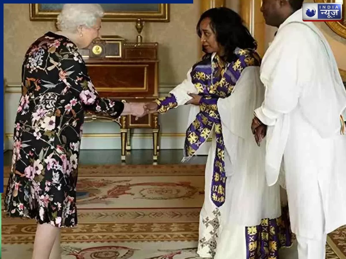 Hidden Animal Illusion: क्वीन एलिजाबेथ की ड्रेस में छिपा है एक सीक्रेट एनिमल! 99% लोग नहीं ढूंढ पाए, क्या आप कर पाएंगे?