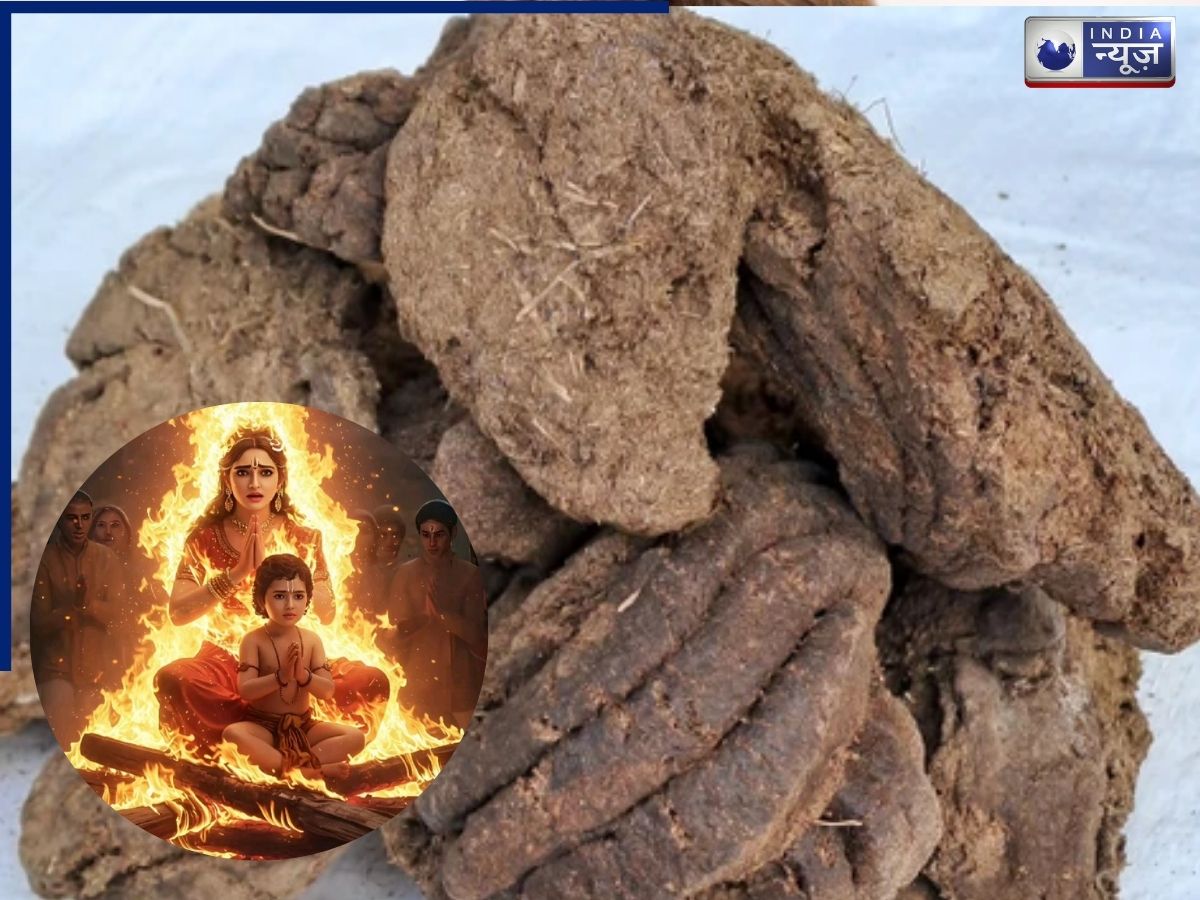 होलिका दहन में गोबर की माला क्यों चढ़ाई जाती है? जानें इसके पीछे की धार्मिक मान्यता और परंपरा
