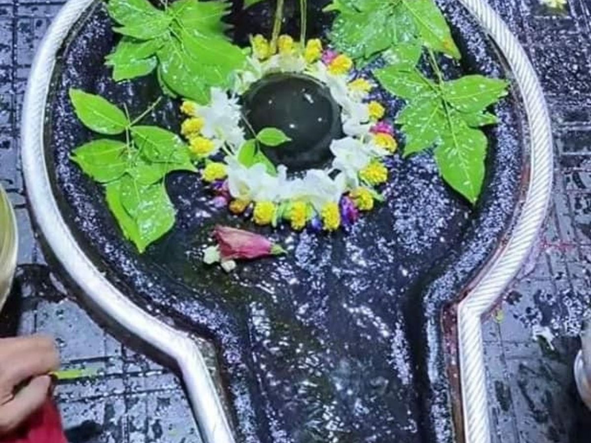 Honey Rudrabhishek Advantages - Photo Gallery