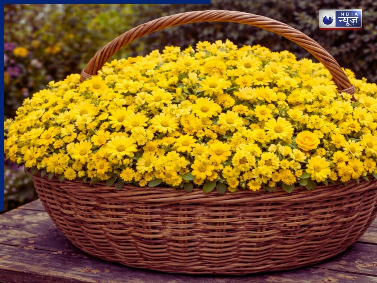 Optical Illusion: पीले फूलों से भरी टोकरी में कहीं छुपा है पीला गुलाब, 10 सेकंड में चैलेंज करना होगा पूरा, तो हो जाइए तैयार!