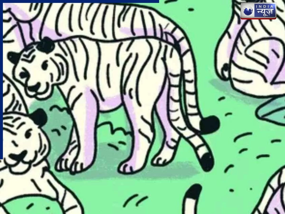 Zebra Illusion Challenge: ज़ेबरा पहेली बड़ी चुनौती,  एक जैसे झुंड में छिपे ‘अलग’ ज़ेबरा को ढूंढने का अल्टीमेट टेस्ट