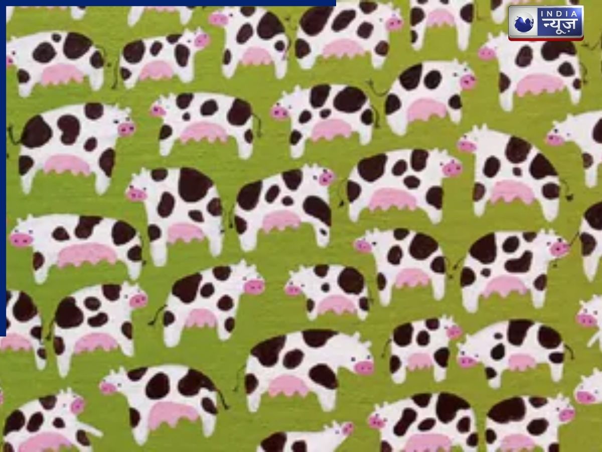 Optical Illusion Challenge: क्या आप 15 सेकंड में ढूंढ सकते हैं छिपा हुआ बैंगन, बाज जैसी नजरों को करें टेस्ट