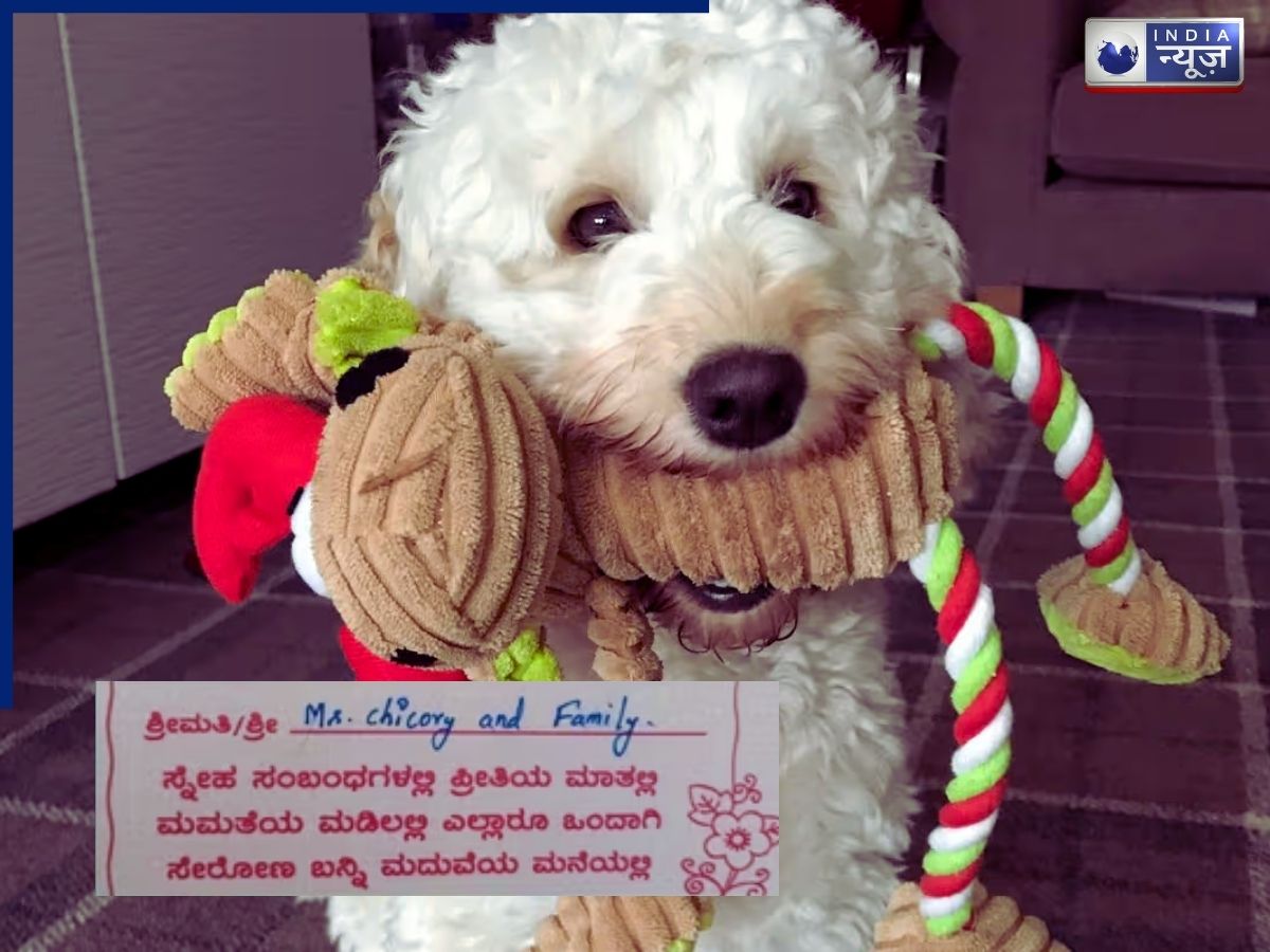 डॉग के नाम आया शादी का निमंत्रण कार्ड, सोशल मीडिया पर वायरल न्यूज को कहा ‘पॉसम’