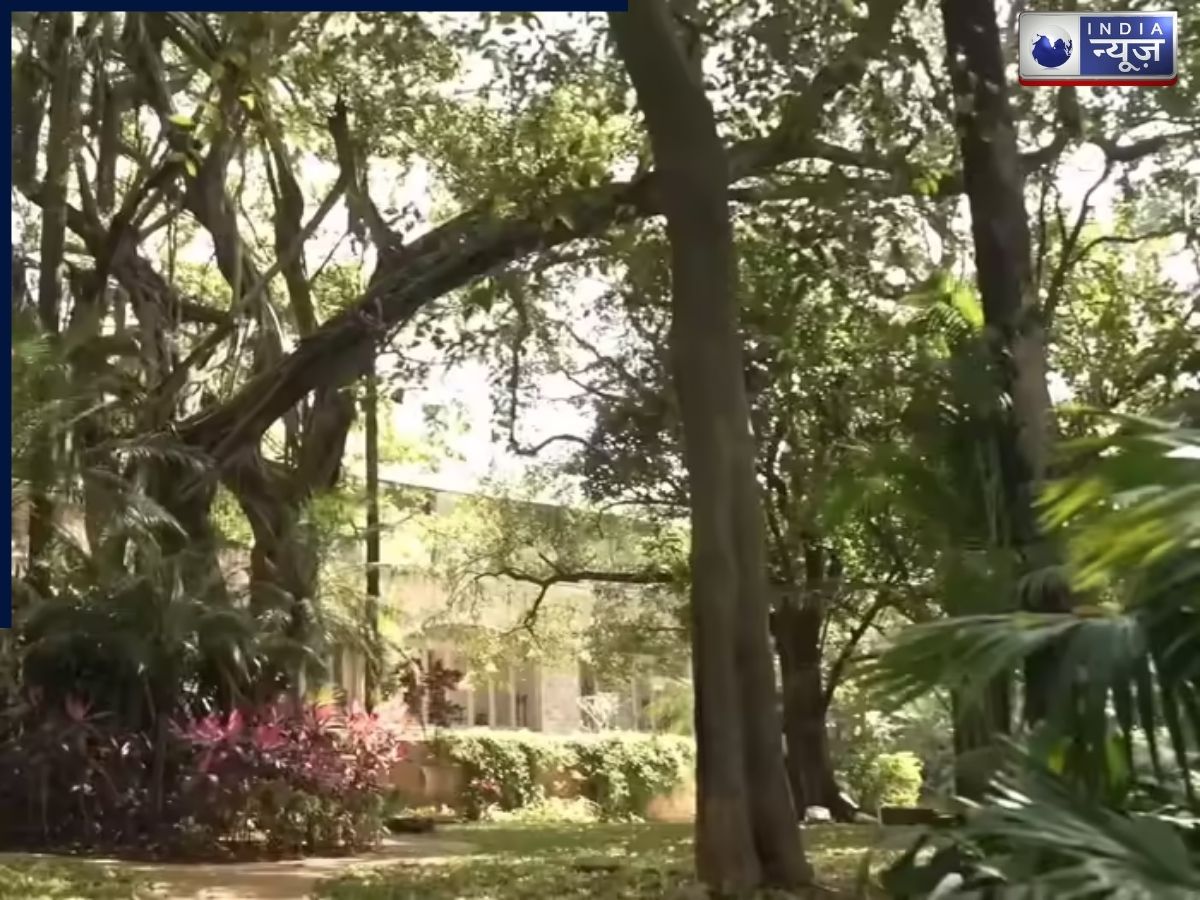 How did a 150-year-old tree save Shabana Azmi and Javed Akhtar's relationship? - Photo Gallery