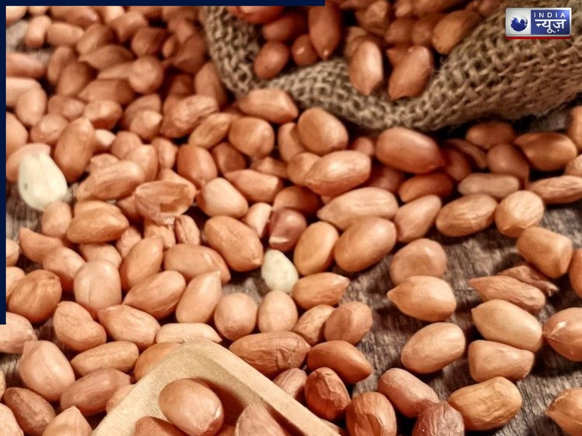 क्या मूंगफली से बढ़ता है यूरिक एसिड? रोज स्नैक में खाने वालों के लिए चौंकाने वाली सच्चाई आई सामने