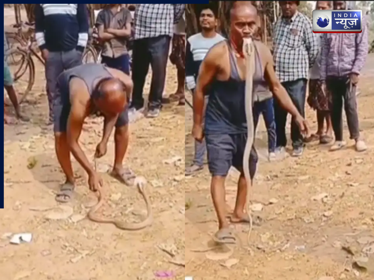 खतरनाक करतब का वीडियो वायरल: व्यक्ति ने मुंह से उठाया किंग कोबरा, मचा हड़कंप