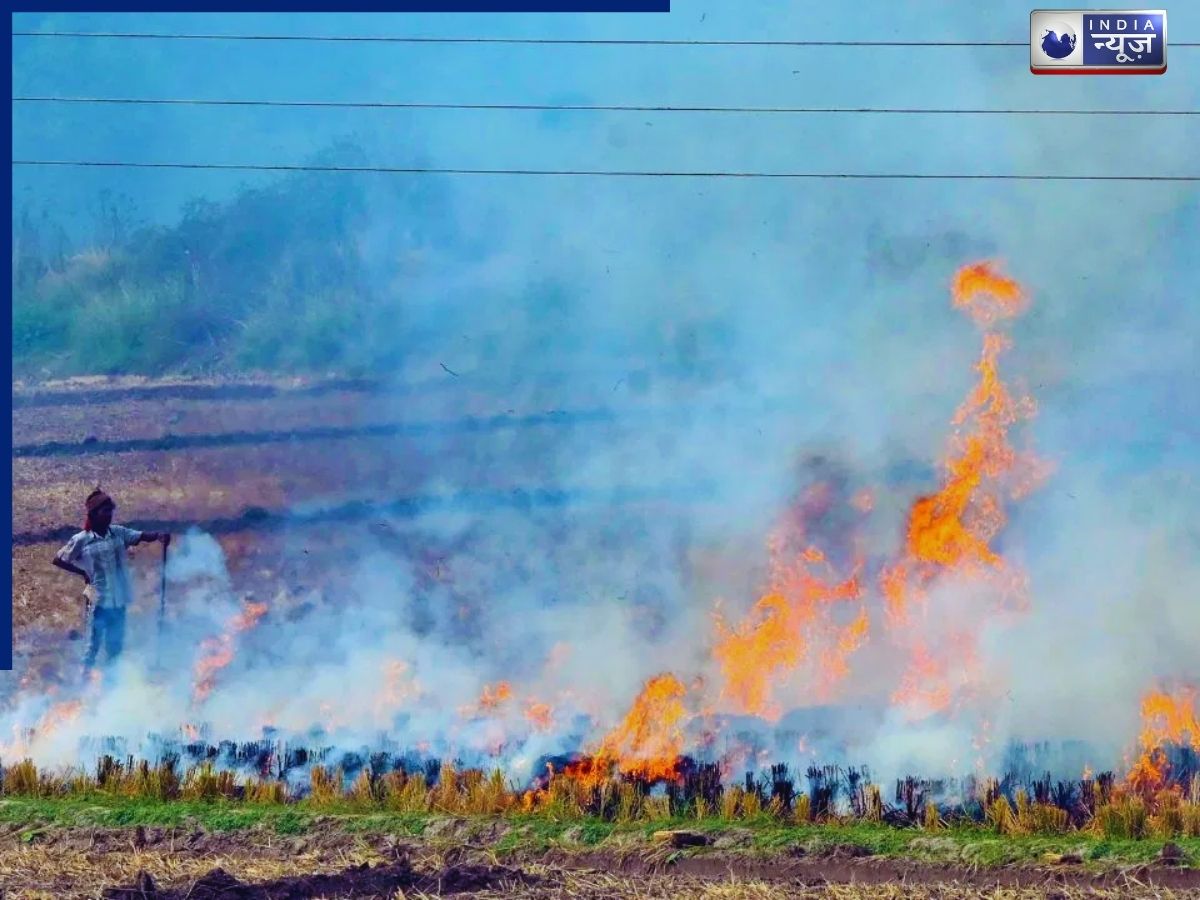Bihar kisan news: बिहार में पराली जलाना पड़ा भारी, 1,807 किसानों की DBT पर लगी रोक, सरकारी लाभ से वंचित