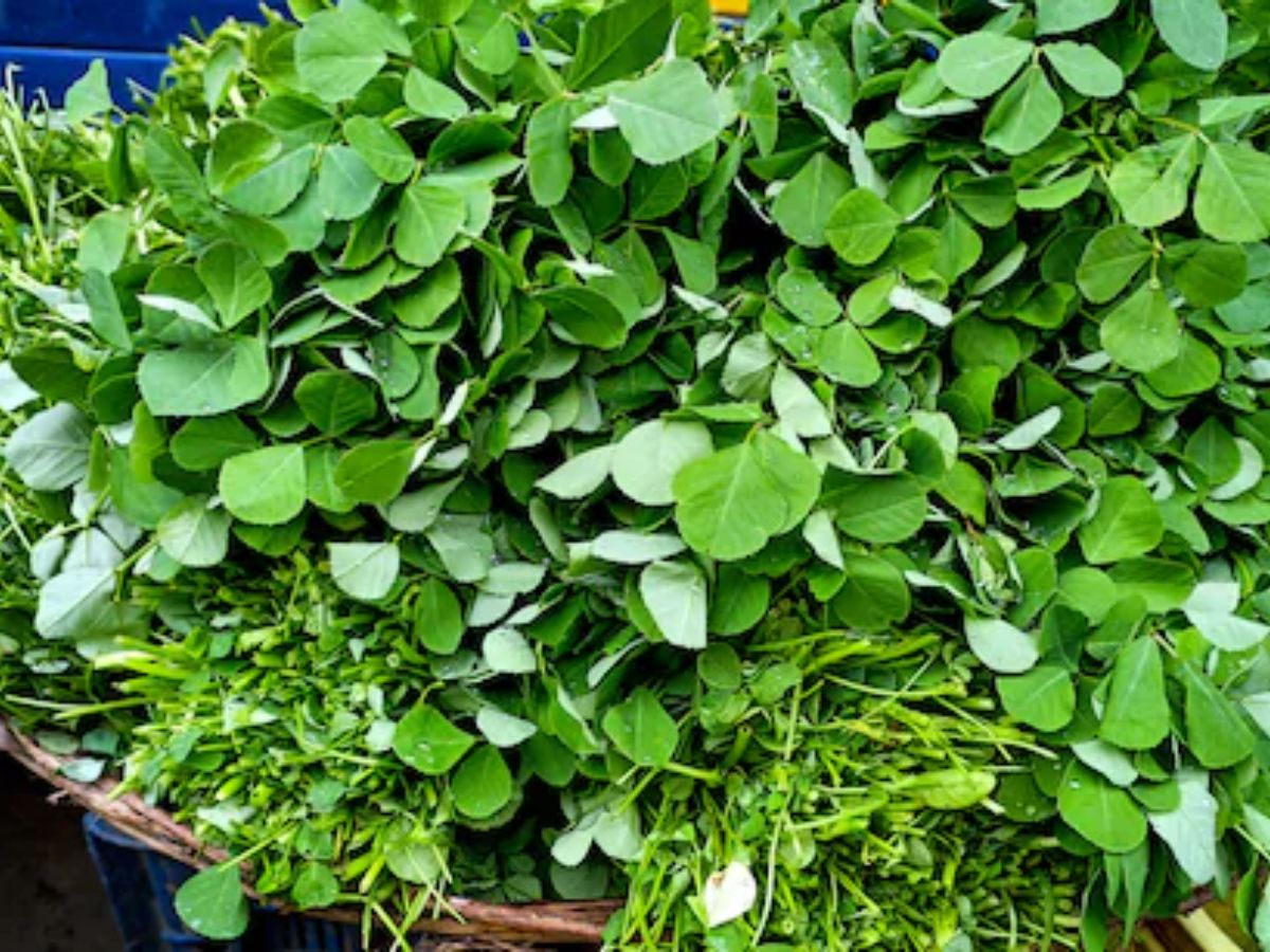 Greens Health Benefits - Photo Gallery