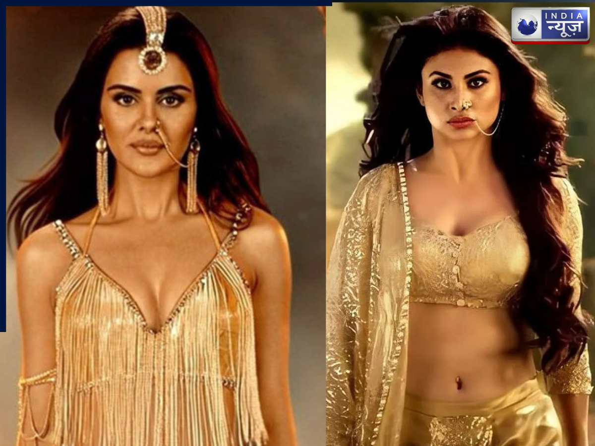 Mouni Roy To Priyanka Chahar Chaudhary Which TV actress got the highest fee for Naagin? - Photo Gallery