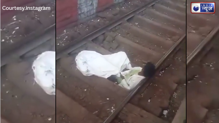 पटरी’ बनी मखमल; मुम्बई में नशेड़ी का हाई-वोल्टेज ड्रामा, CSMT पर मौत को ‘वेटिंग’ में डाल घोड़े बेचकर सोया शराबी!