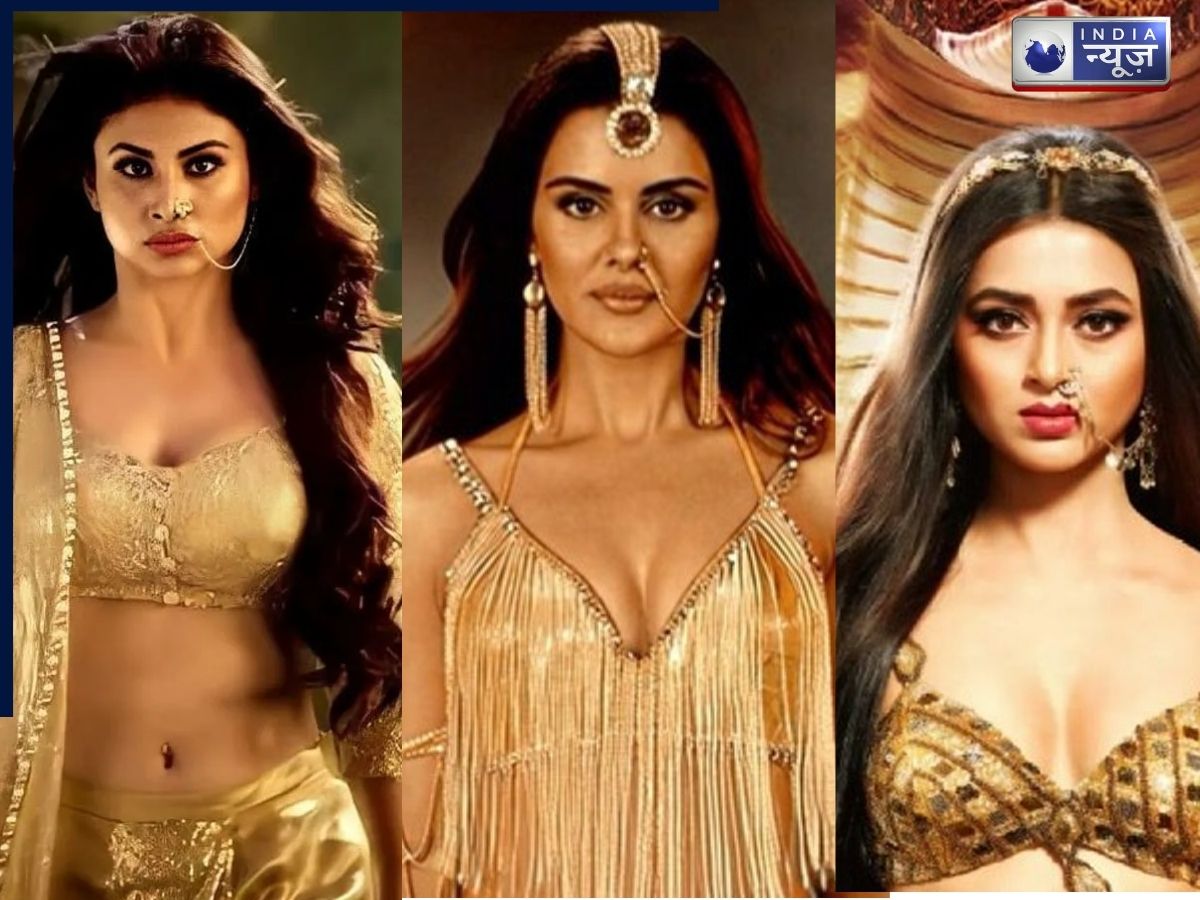 Naagin Series: तेजस्वी से मॉनी तक, कौन हैं सबसे ज्यादा जहरीली नागिन? देखें पूरी लिस्ट