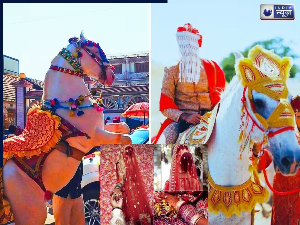 Groom on a mare: दूल्हा घोड़ी पर बैठकर ही बारात लेकर दुल्हन को लाने क्यों जाता है? जानें इसका इतिहास, महत्व और रिवाज