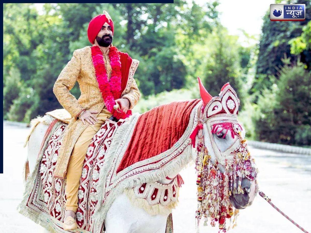 The reason behind riding the mare - Photo Gallery