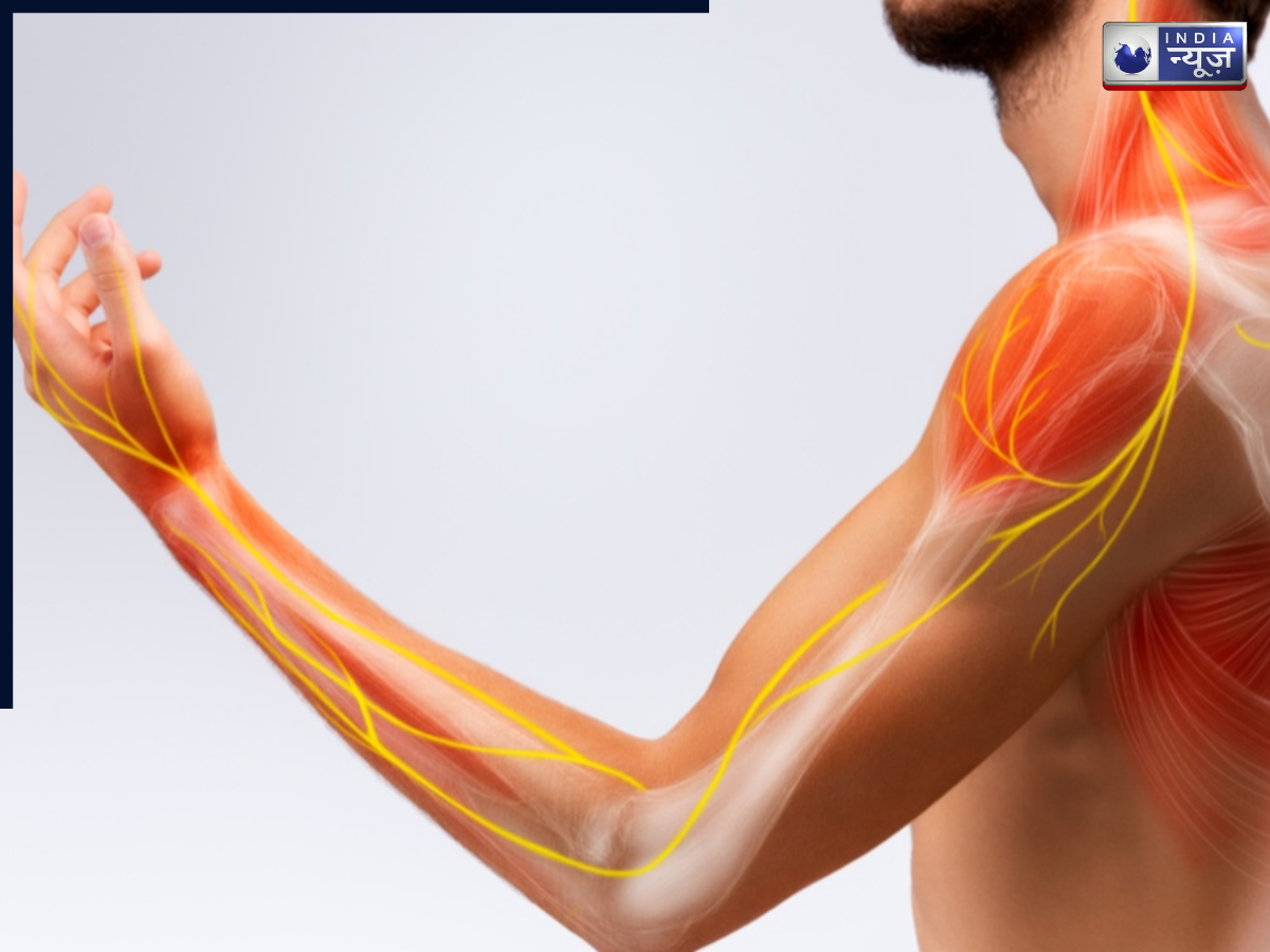 कम उम्र में ही कमजोर हो गई हैं नसें? आखिर क्यों डैमेज होती हैं नर्व और कैसे पड़ता है शरीर पर असर?