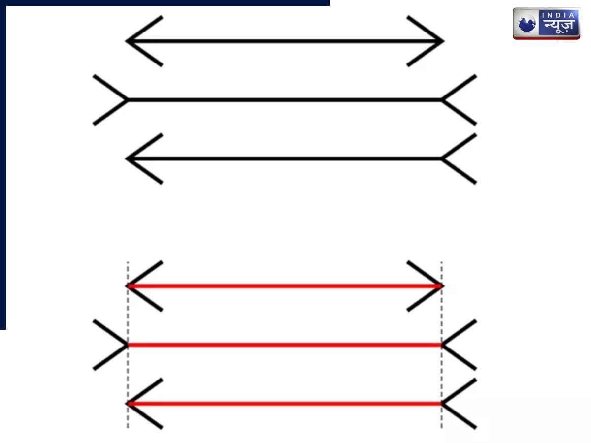 क्या ये लाइनें सच में सीधी हैं या आपका दिमाग आपको धोखा दे रहा है? इस ऑप्टिकल इल्यूजन का सच जानकर रह जाएंगे हैरान