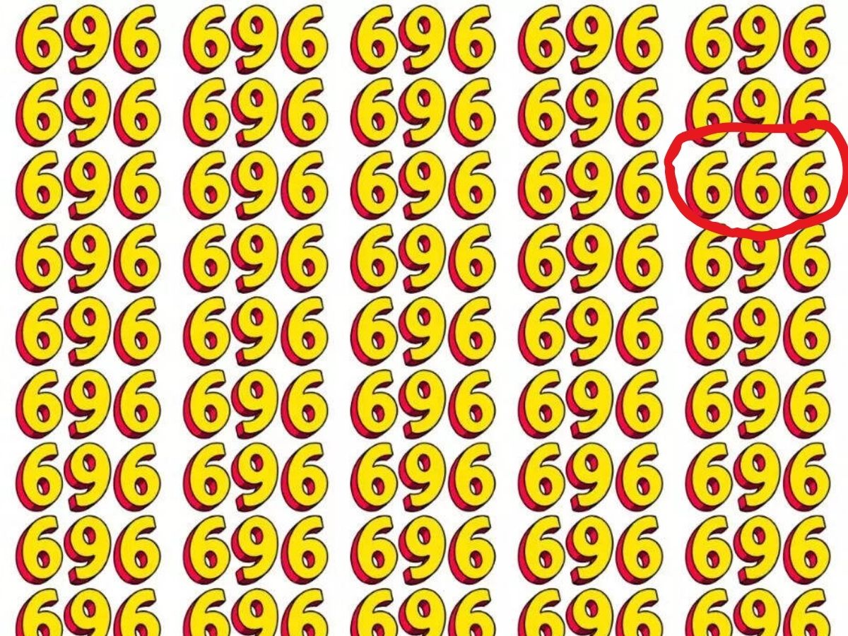 optical illusion challenge 6