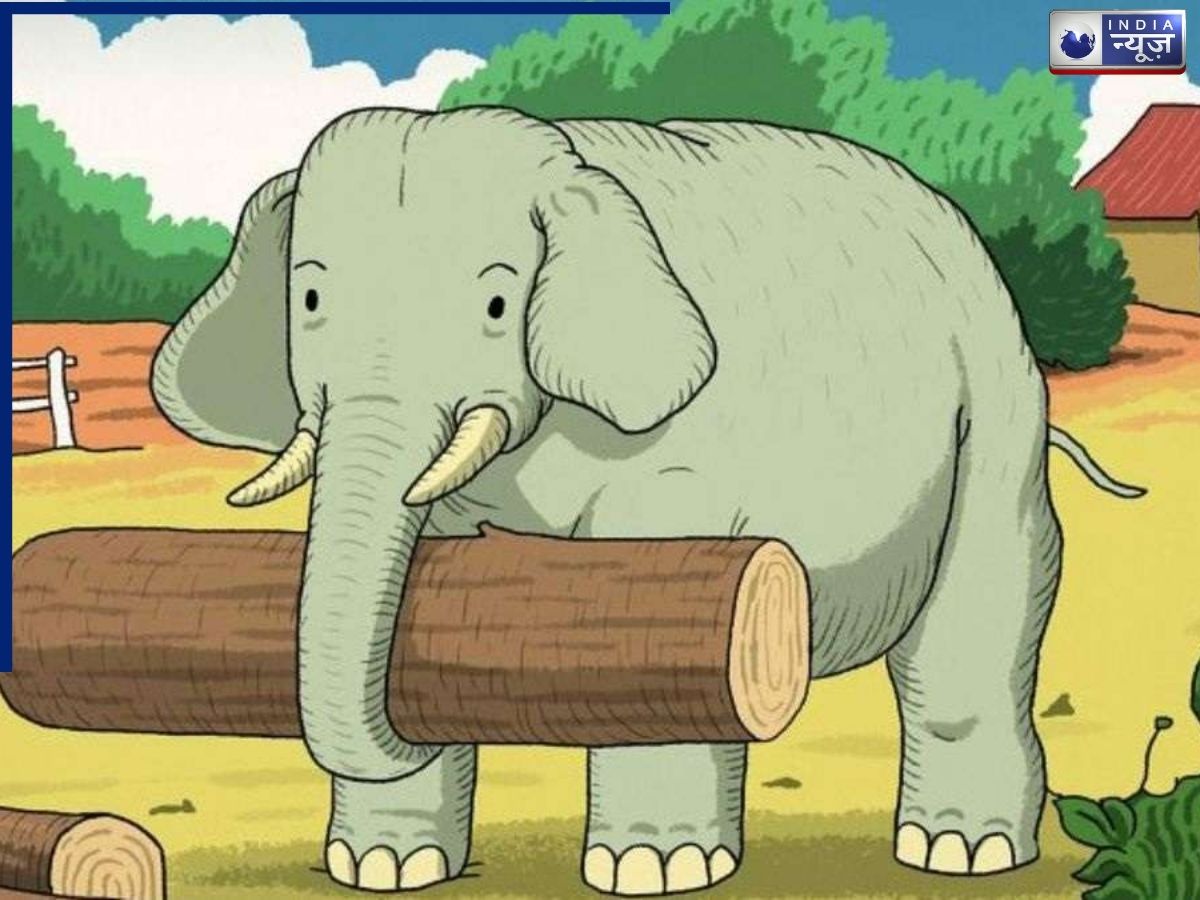 Optical Illusion Challenge: क्या आपकी नजरें हैं बाज जैसी तेज? इस तस्वीर में छिपी डिटेल्स 10 सेकंड में ढूंढकर दिखाइए, 99% लोग हो चुके हैं फेल!