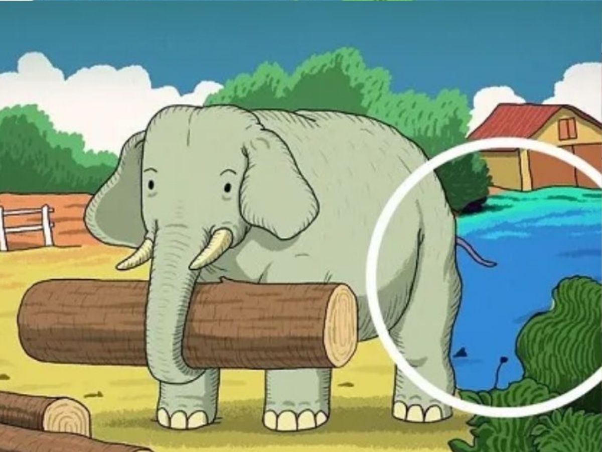 Optical Illusion Challenge 8 Optical Illusion Challenge 8