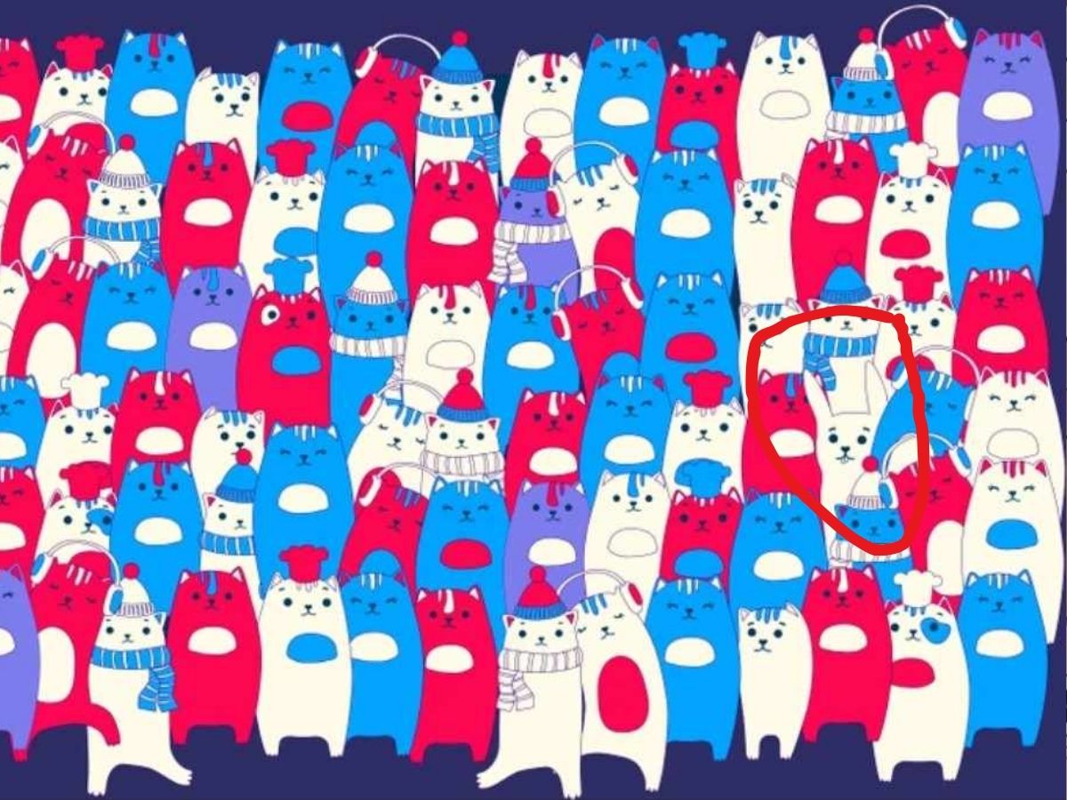 optical illusion hidden animal answer