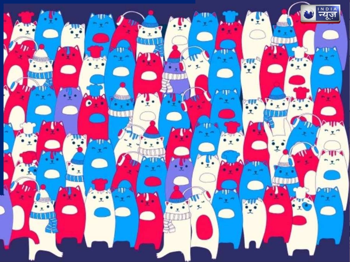 ऑप्टिकल इल्यूजन चैलेंज: 99% लोग नहीं ढूंढ पाए बिल्लियों की भीड़ में छुपा खरगोश, क्या आप कर पाएंगे कमाल?